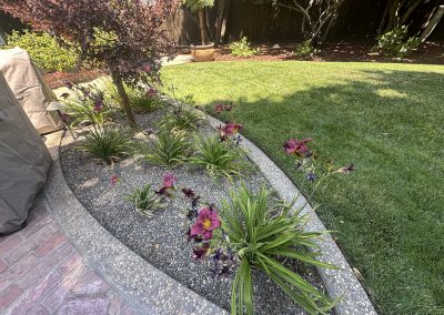 Sunset Valley Landscape & Yard Maintenance
