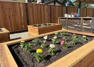 Sunset Valley Landscape - Planter Boxes