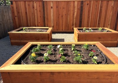Sunset Valley Landscape - Planter Boxes